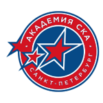 Академия СКА