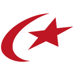 Сарацины